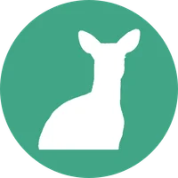 Médaillon du module L'auxiliaire en détail & le prétérit