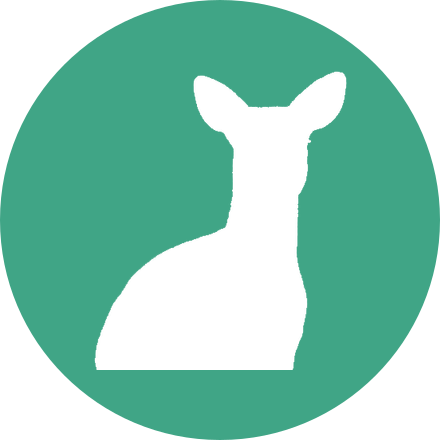 Médaillon du module L'auxiliaire en détail & le prétérit