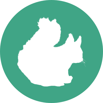 Médaillon du module L'Extérieur - en ville & dans la nature