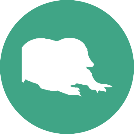 Médaillon du module Verbes irréguliers - Partie 1