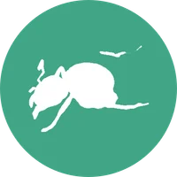 Médaillon du module Question Tags