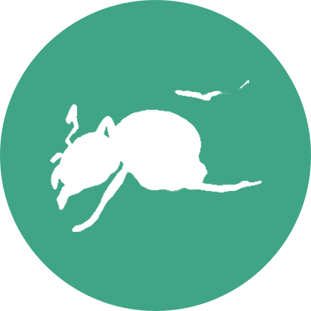 Médaillon du module Question Tags