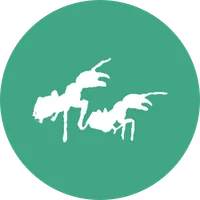 Médaillon du module Quantifieurs