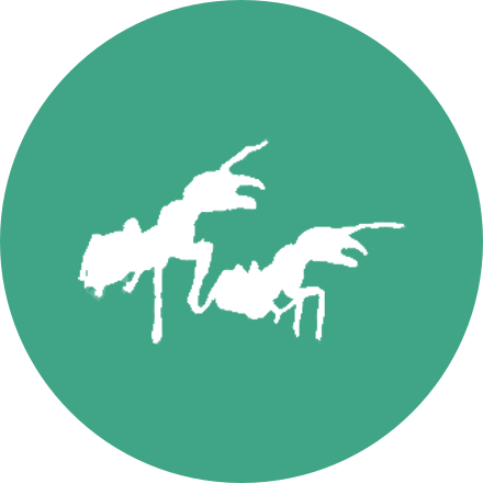 Médaillon du module Quantifieurs