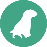 Médaillon du module Les passés complexes