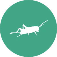 Médaillon du module Used to