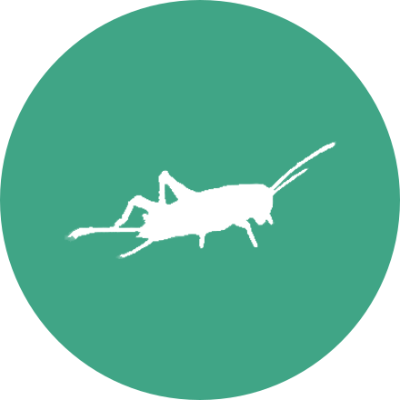 Médaillon du module Used to