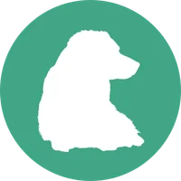 Médaillon du module Le chien - famille, relations & émotions