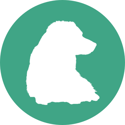 Médaillon du module Le chien - famille, relations & émotions